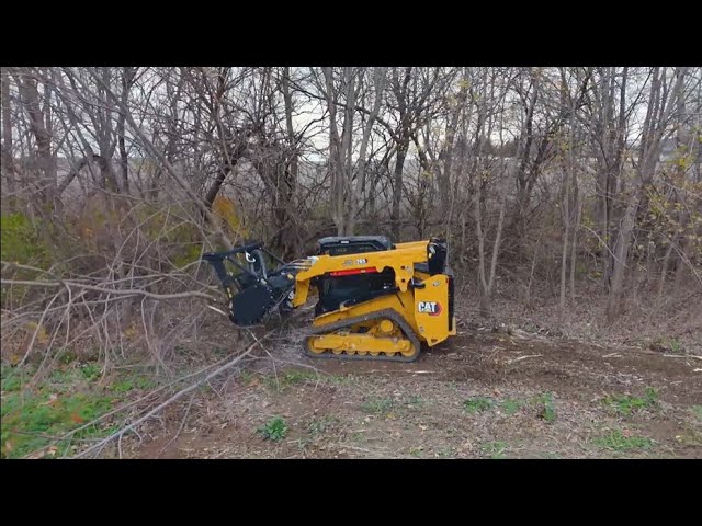 Skid steer forestry mulcher clearing site brush
